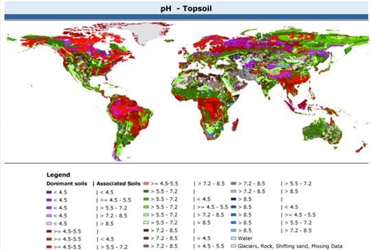 Distribución global pH